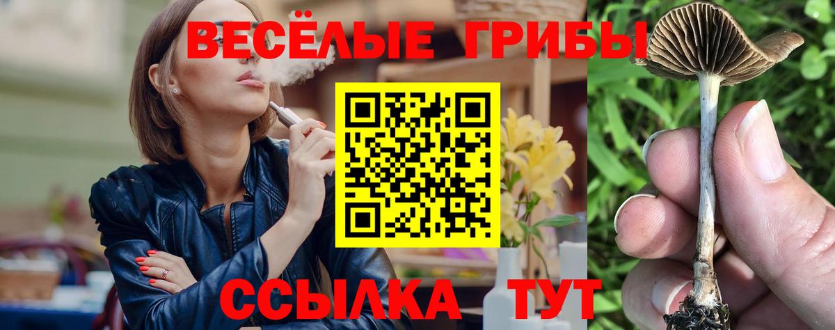Галлюциногенные грибы MAGIC MUSHROOMS Тавда